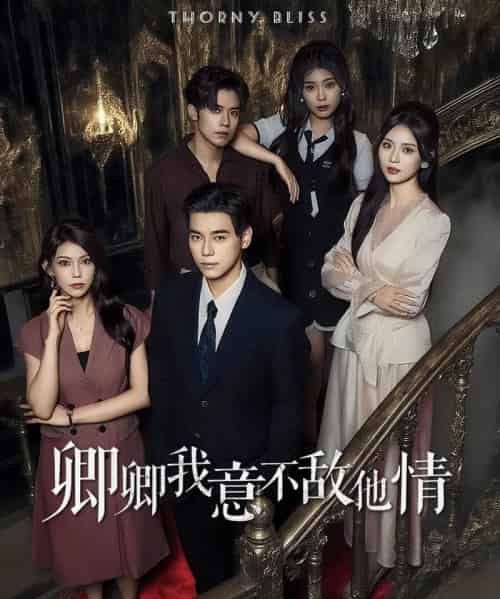 卿卿我意不敌他情(80集全)王倩倩&袁志颖-搜外项目网