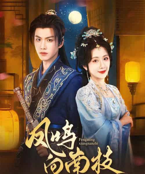 凤鸣向南枝（69集）胡一鸣＆陈丹-搜外项目网