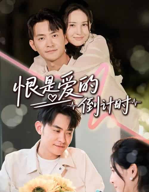 恨是爱的倒计时（60集）王柯冉＆郑天龙-搜外项目网