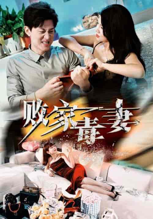 败家毒妻（32集全）汪天予-搜外项目网