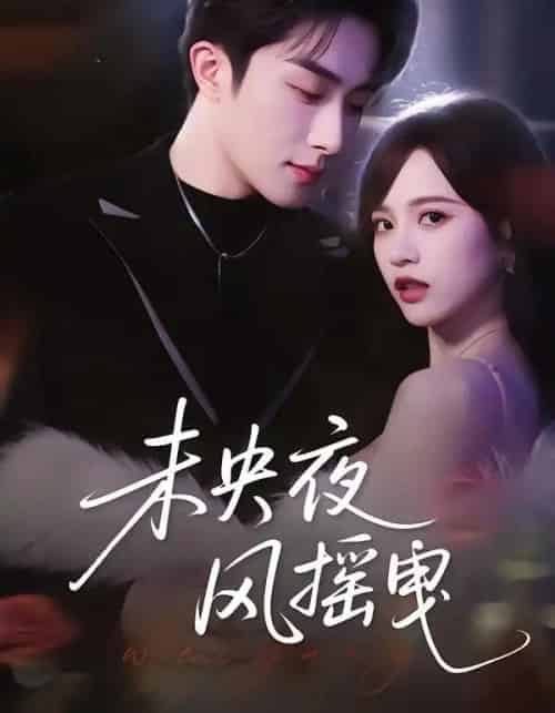 未央夜风摇曳（70集全）文晴＆叶庭-搜外项目网