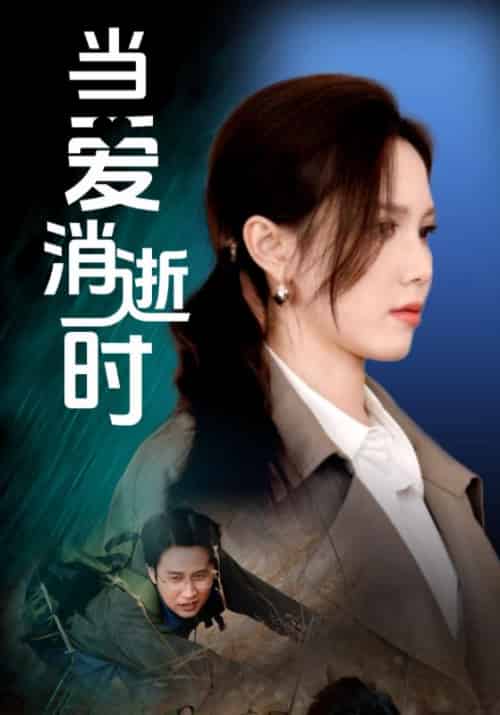 当爱消逝时（53集全）吴昊＆陈舒琪-搜外项目网