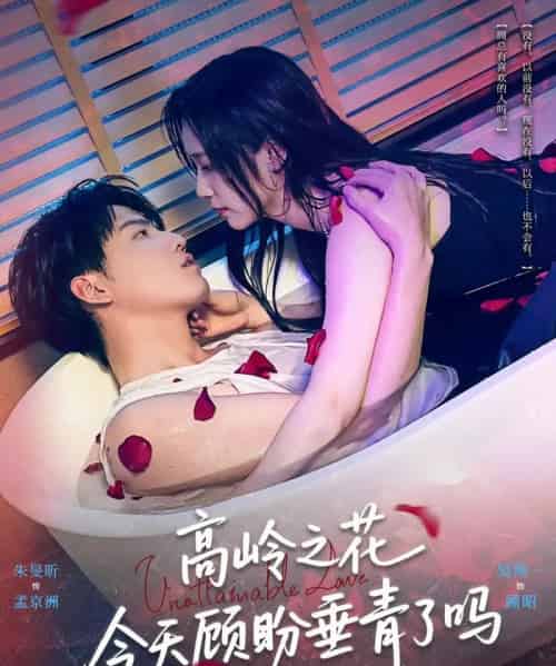 高岭之花今天顾盼垂青了吗(82集)朱旻昕&吴纯一-搜外项目网