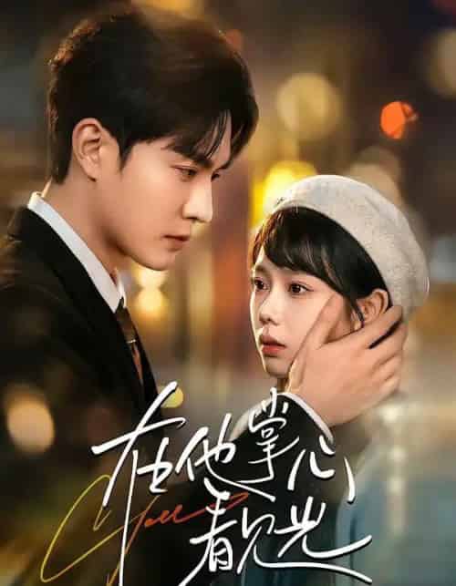 在他掌心看见光（99集全）周玉玲＆陈天晓-搜外项目网