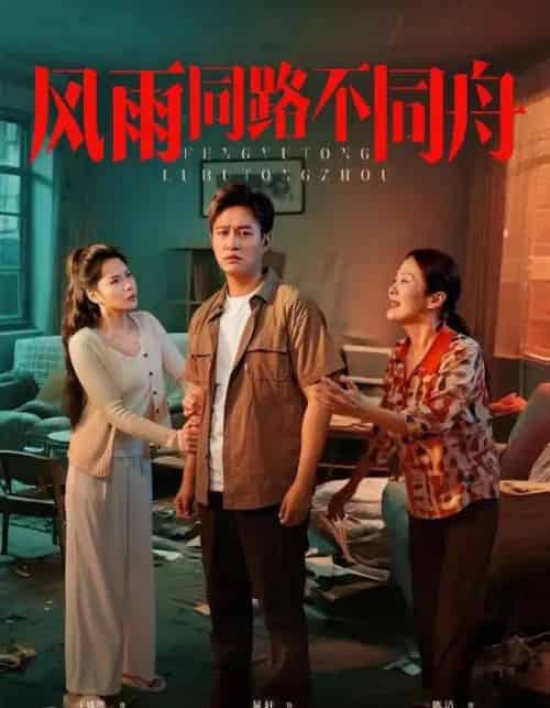 风雨同居不同舟（32集）晁轩＆王姝懿-搜外项目网
