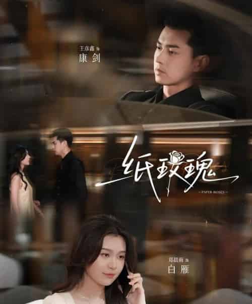 纸玫瑰（65集）郑晨雨＆王彦鑫-搜外项目网