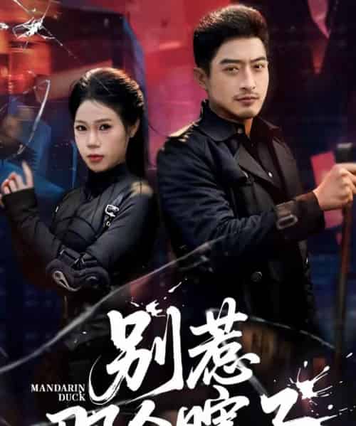 别惹那个瞎子(61集全)郑天阳&陈七七-搜外项目网