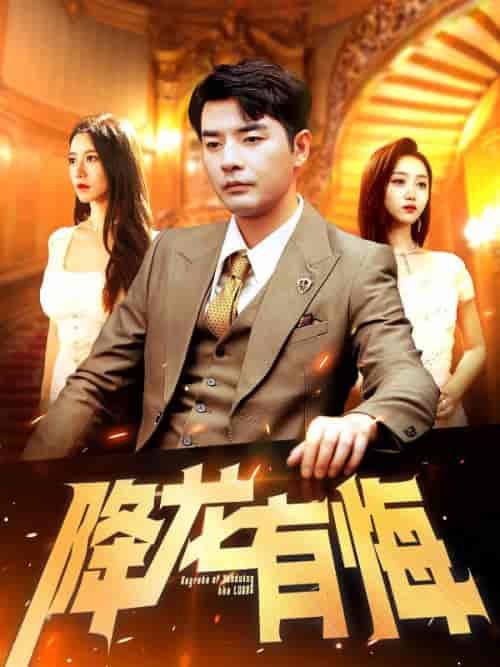 降龙有悔（102集全）叶天＆唐若雪-搜外项目网