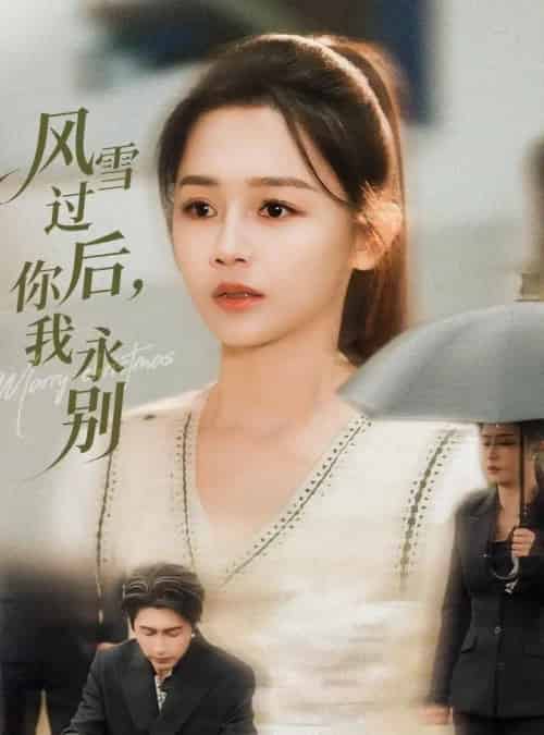风雪过后，你我永别（51集全）王禹润＆郑湘敏-搜外项目网