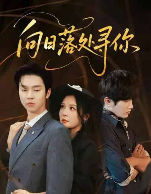 向日落处寻你（70集全）李明＆邓嘉伦-搜外项目网