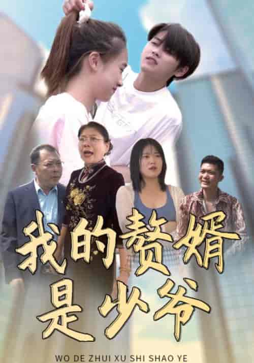我的赘婿是少爷（90集全）张宇轩＆苏小然-搜外项目网