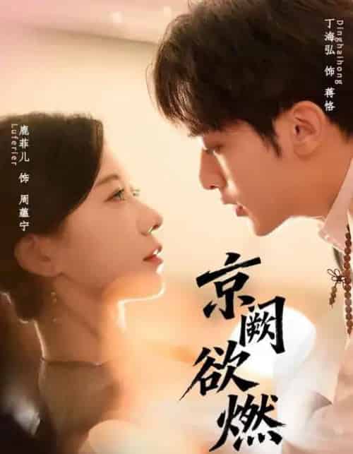 京阙欲燃（59集全）丁海弘＆唐菲儿-搜外项目网