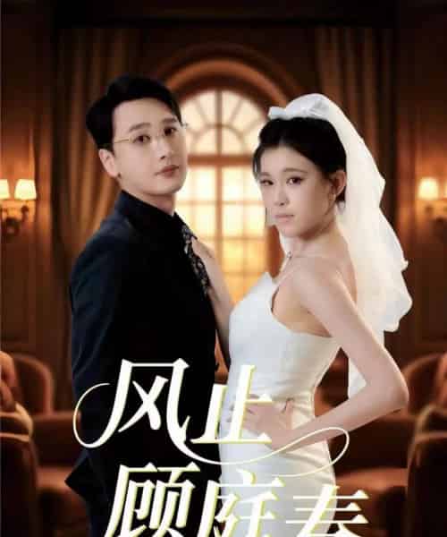 风止顾庭春(51集全)陈奕木&贾熙宁-搜外项目网