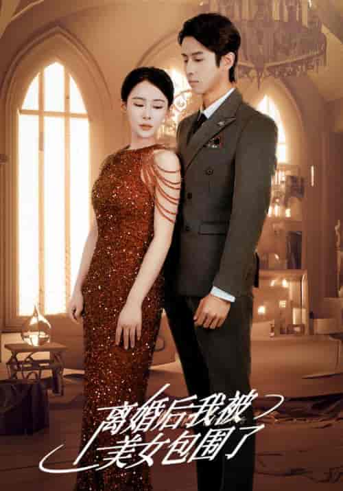 离婚后，我被美女包围了（98集全）叶云州＆柳嫣然-搜外项目网