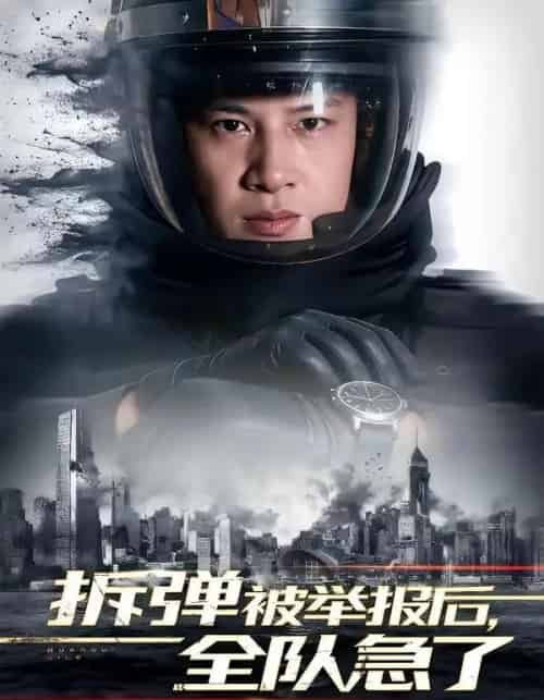 拆弹被举报后，全队急了（50集全）彭凌＆邰靖懿-搜外项目网