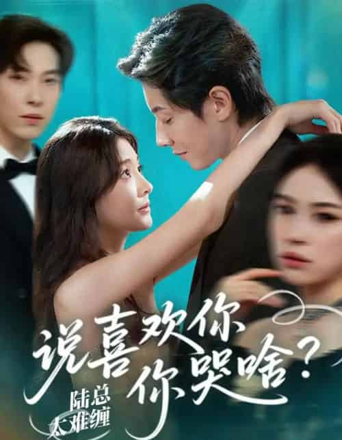 陆总太难缠说喜欢你你哭啥（60集）宋晨＆李欣怡-搜外项目网