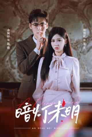暗灯未明（72集）柴慧欣-搜外项目网