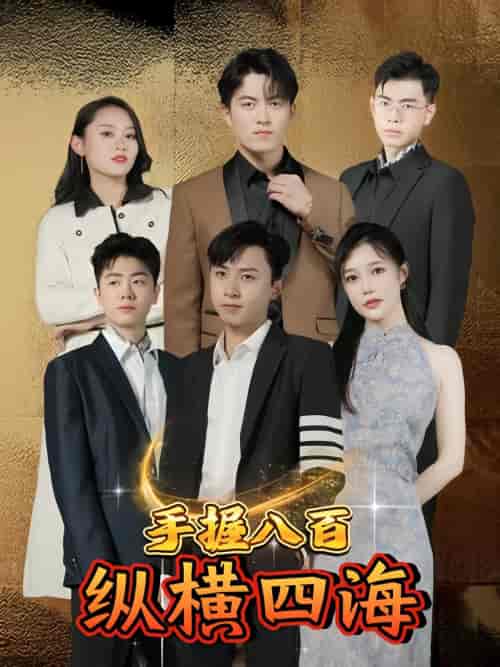 手握八百纵横四海（93集）-搜外项目网