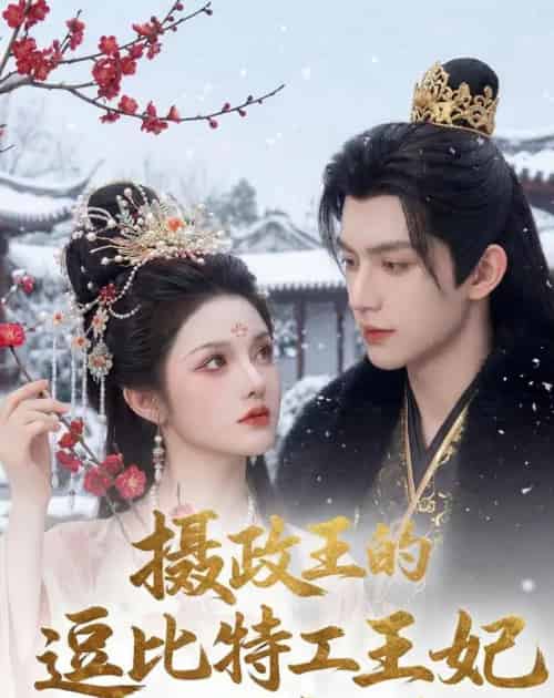 摄政王的逗比特工王妃又闯祸了（78集全）AI-搜外项目网