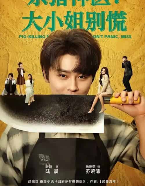杀猪神医:大小姐别慌(80集全)舒瀚&杨晰茹-搜外项目网