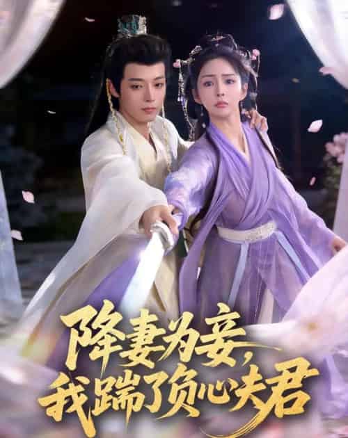 降妻为妾，我踹了负心夫君（49集全）高铭晞＆梁翊程-搜外项目网