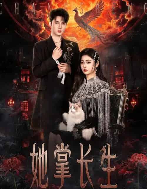 她掌长生（63集全）高子怡＆陈子昂-搜外项目网