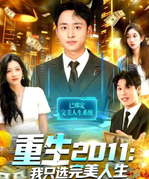 重生2011:我只选完美人生(103集全)卢艺煊&马丽莎-搜外项目网