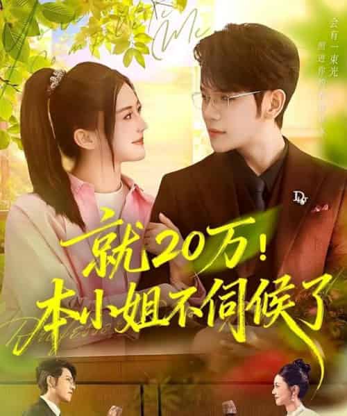 就20万！本小姐不伺候了（60集全）杨彦光＆李家圆子-搜外项目网