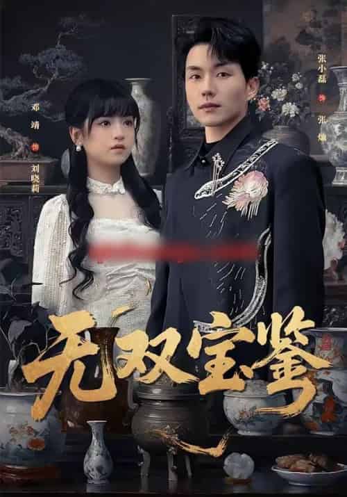 无双宝鉴（80集全）张小磊＆邓靖-搜外项目网