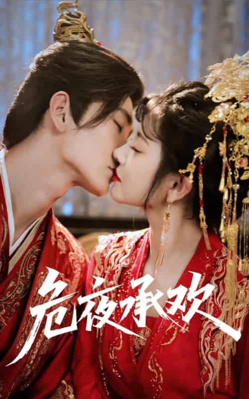 危夜承欢（83集全）常斌＆廖慧敏（冷巴）-搜外项目网