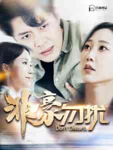 非豪勿扰（100集）韩雨轩-搜外项目网