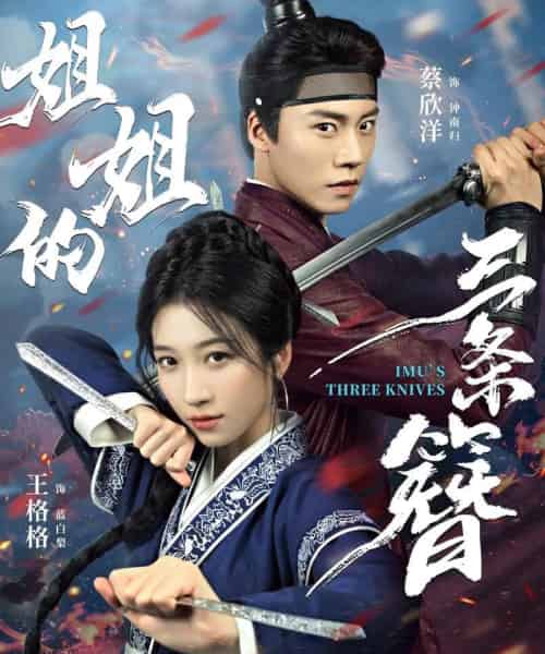 姐姐的三条簪(50集全)蔡欣洋&王格格-搜外项目网