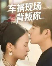 车祸现场背叛你（37集全）高广泽＆芊翊-搜外项目网