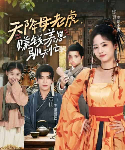 天降母老虎赚钱养崽驯夫忙（71集全）石佳＆徐真-搜外项目网