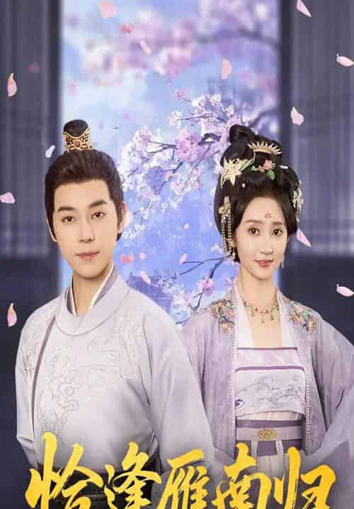 恰逢雁南归(51集)袁志颖&魏小也-搜外项目网