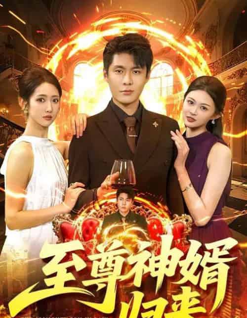 至尊神婿归来(104集全)张如意&韩雨轩-搜外项目网