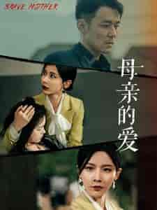 母亲的爱（97集）丁晓-搜外项目网