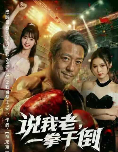 说我老，一拳干倒（81集全）李宗峄＆金美希-搜外项目网