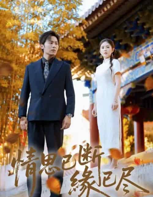 情思已断缘已尽(80集全)星硕&陈酉昔-搜外项目网