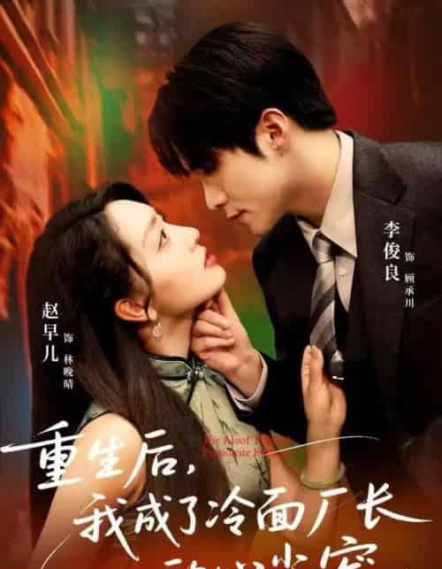 重生后，我成了冷面厂长的心尖宠（79集全）李俊良＆赵早儿-搜外项目网