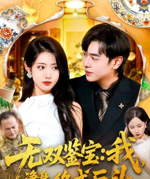 无双鉴宝:我净身出户,终成巨头(109集全)张如意&刘晨宇-搜外项目网