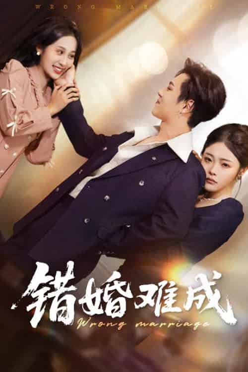 错婚难成（45集全）彭程＆武鸿蕊-搜外项目网