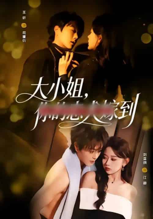 大小姐，你的忠犬嫁到（80集全）王轩＆刘蓝鸽-搜外项目网