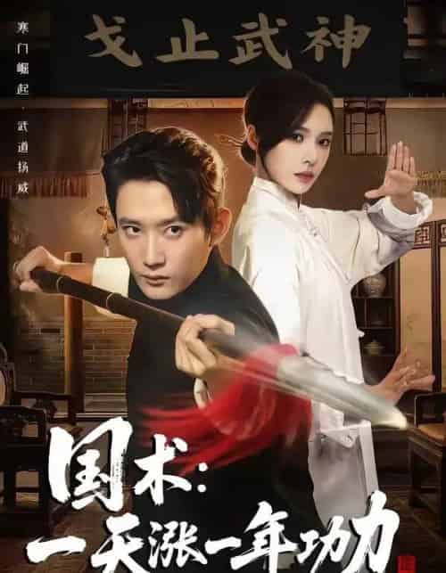 国术,一天涨一年功力(66集全)江宇顺&刘金妍-搜外项目网