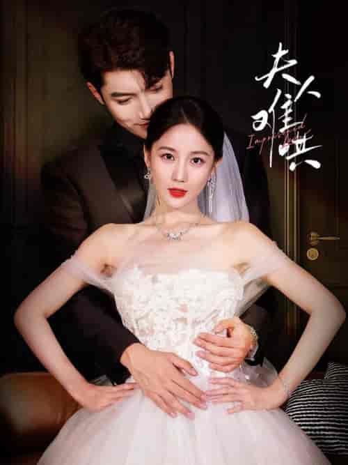 夫人难哄(53集全)黄云云-搜外项目网