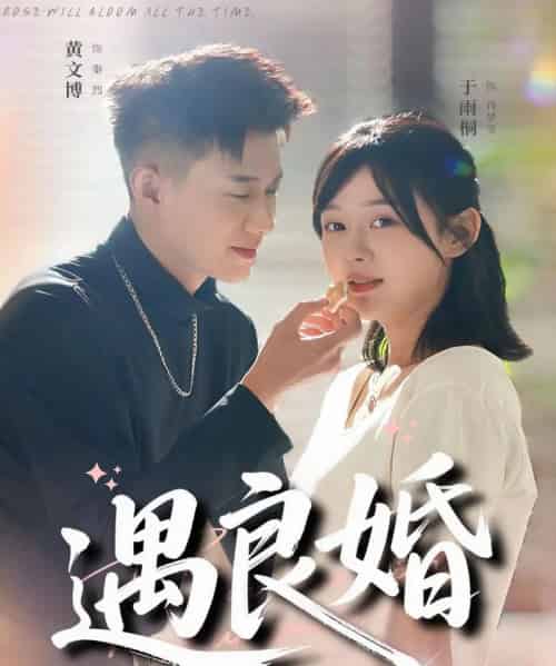 遇良婚（87集全）黄文博＆于雨桐-搜外项目网