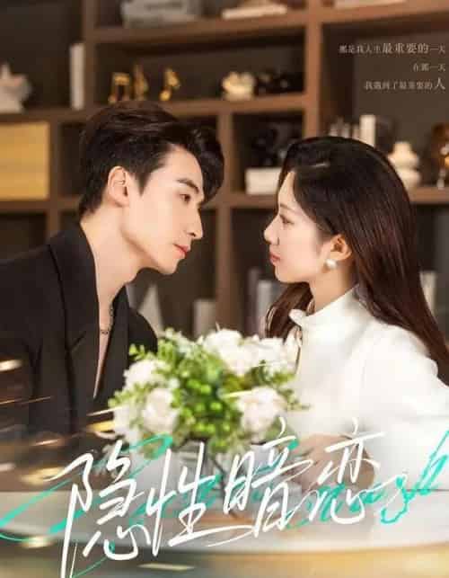 隐性暗恋（100集全）黄鑫辉＆沈婉婷-搜外项目网