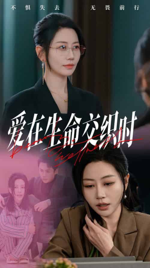 爱在生命交织时（33集全）刘清心＆依依-搜外项目网