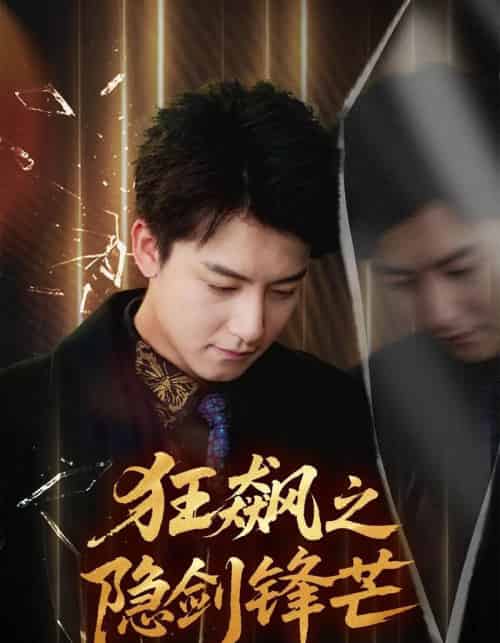 狂飙之隐剑锋芒（63集全）刘尚麟＆时一-搜外项目网
