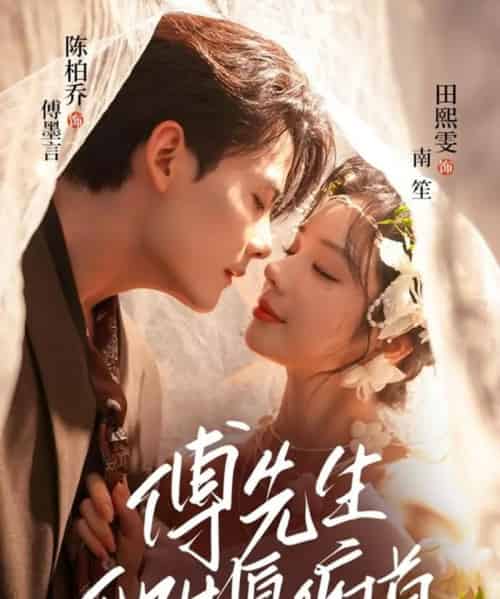 傅先生他甘愿俯首(61集全)陈刚(陈柏乔)&田熙雯-搜外项目网